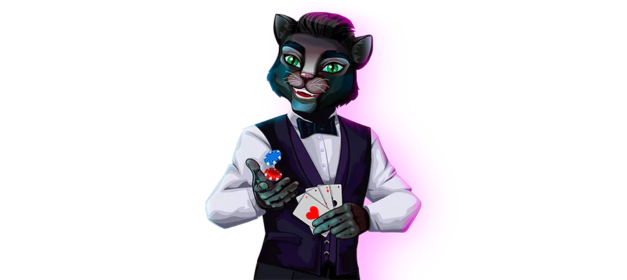 Кот из казино CatCasino307